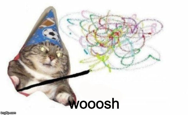 Woosh cat | wooosh | image tagged in woosh cat | made w/ Imgflip meme maker