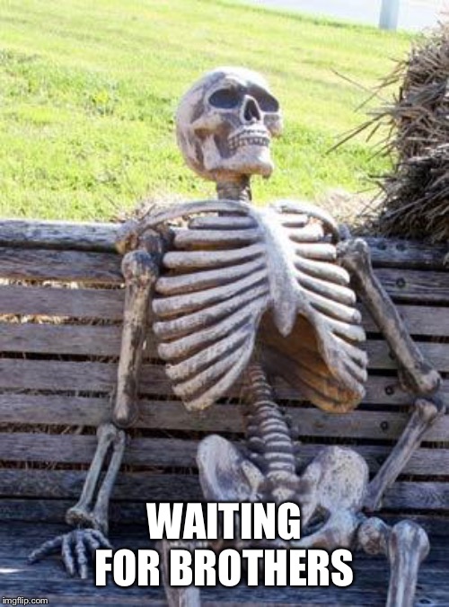 Waiting Skeleton Meme | WAITING FOR BROTHERS | image tagged in memes,waiting skeleton | made w/ Imgflip meme maker
