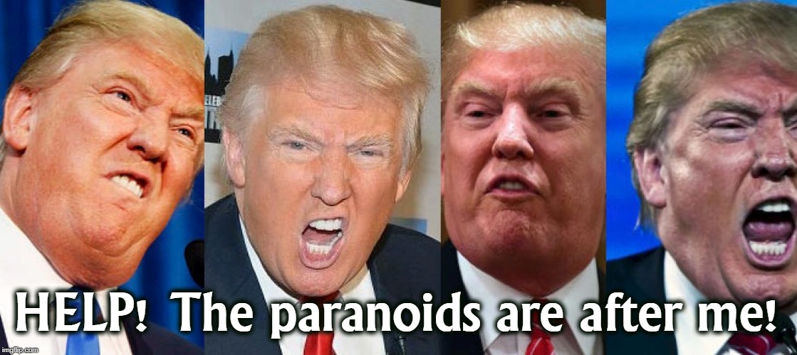 HELP! The paranoids are after me! | image tagged in trump,paranoid,crazy,nuts,insane | made w/ Imgflip meme maker