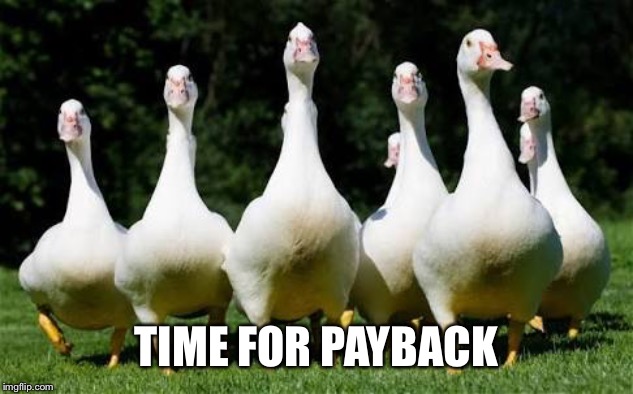 The Geese | TIME FOR PAYBACK | image tagged in the geese | made w/ Imgflip meme maker