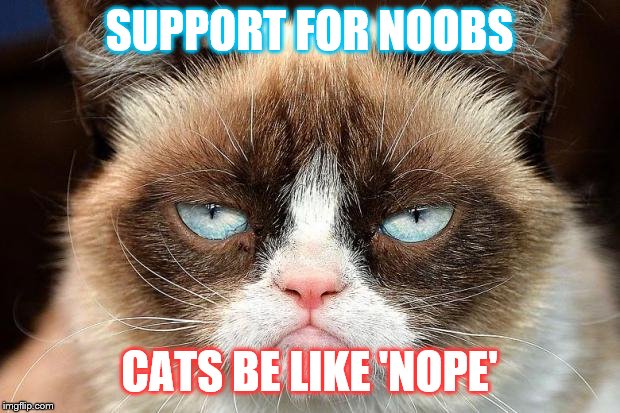 Grumpy Cat Not Amused Meme | SUPPORT FOR NOOBS; CATS BE LIKE 'NOPE' | image tagged in memes,grumpy cat not amused,grumpy cat | made w/ Imgflip meme maker