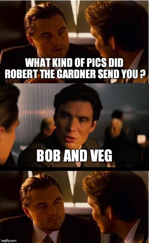Inception Meme | WHAT KIND OF PICS DID ROBERT THE GARDNER SEND YOU ? BOB AND VEG | image tagged in memes,inception | made w/ Imgflip meme maker