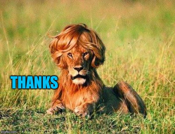 Funny Lion | THANKS | image tagged in funny lion | made w/ Imgflip meme maker