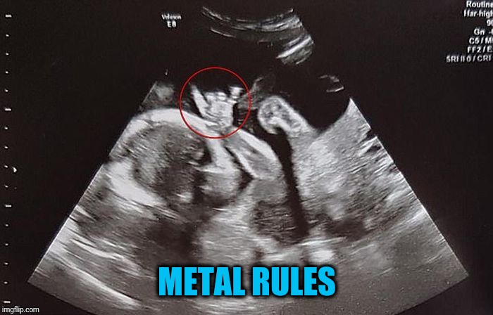 What Was Mom Listening To? | METAL RULES | image tagged in rock on | made w/ Imgflip meme maker