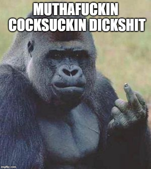 Really Frustrated Gorilla | MUTHAFUCKIN COCKSUCKIN DICKSHIT | image tagged in monkey middle finger,memes,flipping the bird,frustrated gorilla,angry,mad | made w/ Imgflip meme maker