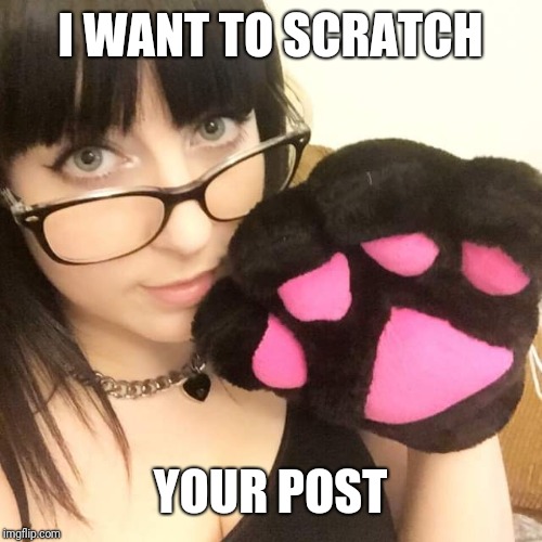 Pawsy Pauline | I WANT TO SCRATCH; YOUR POST | image tagged in pawsy pauline | made w/ Imgflip meme maker