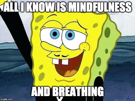 ALL I KNOW IS MINDFULNESS; AND BREATHING | made w/ Imgflip meme maker