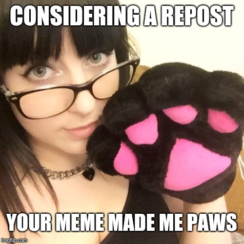 Pawsy Pauline | CONSIDERING A REPOST; YOUR MEME MADE ME PAWS | image tagged in pawsy pauline | made w/ Imgflip meme maker