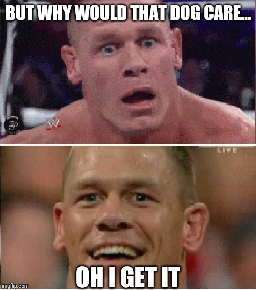 John Cena Sad/Happy | BUT WHY WOULD THAT DOG CARE... OH I GET IT | image tagged in john cena sad/happy | made w/ Imgflip meme maker
