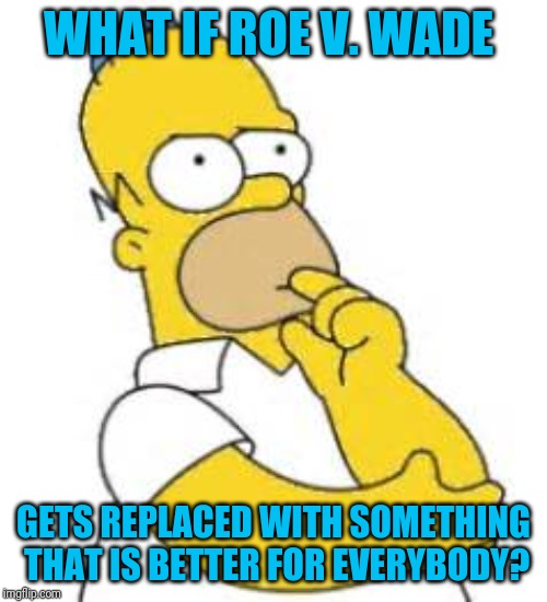 It Might Be Time For An Upgrade | WHAT IF ROE V. WADE; GETS REPLACED WITH SOMETHING THAT IS BETTER FOR EVERYBODY? | image tagged in homer simpson hmmmm | made w/ Imgflip meme maker