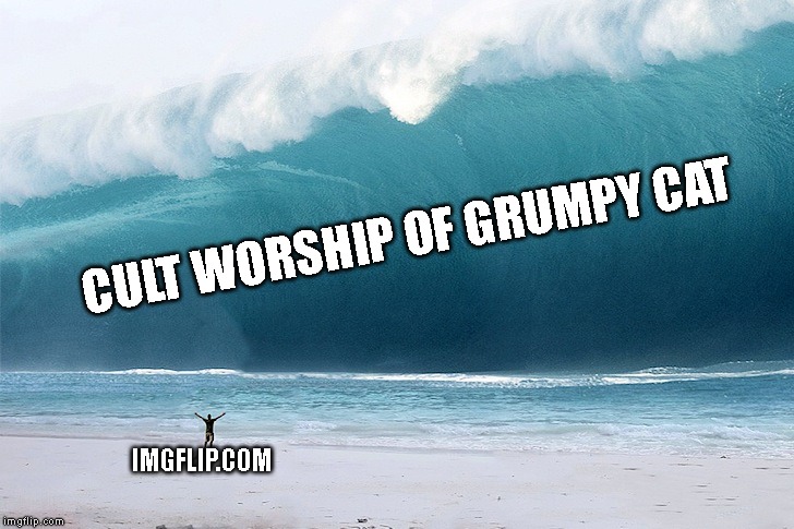 tsunami | CULT WORSHIP OF GRUMPY CAT; IMGFLIP.COM | image tagged in tsunami | made w/ Imgflip meme maker