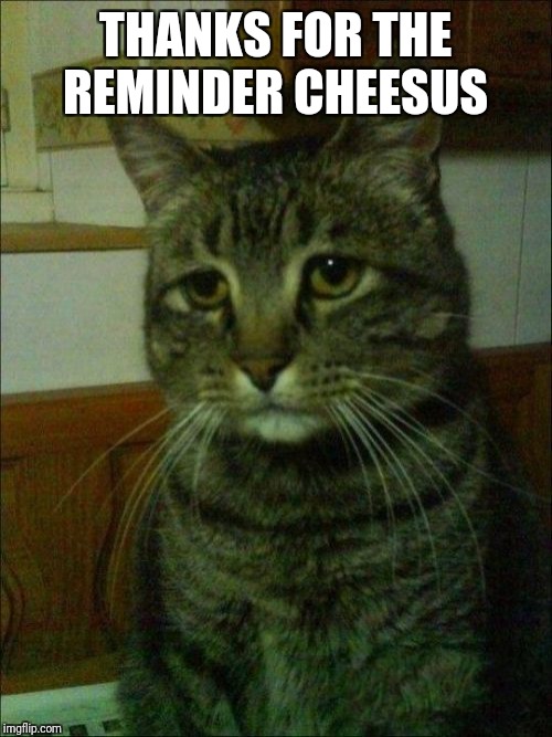 Depressed Cat Meme | THANKS FOR THE REMINDER CHEESUS | image tagged in memes,depressed cat | made w/ Imgflip meme maker