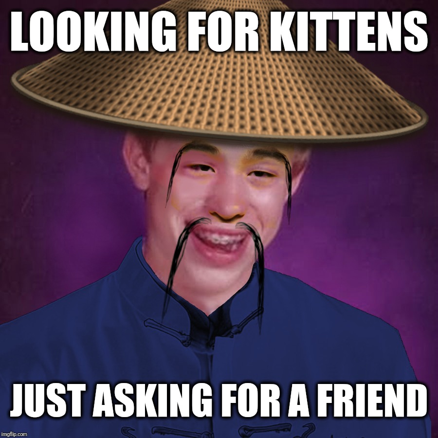 Here Kitty Kitty | LOOKING FOR KITTENS; JUST ASKING FOR A FRIEND | image tagged in blb,bad luck brian,cats,pets,funny | made w/ Imgflip meme maker