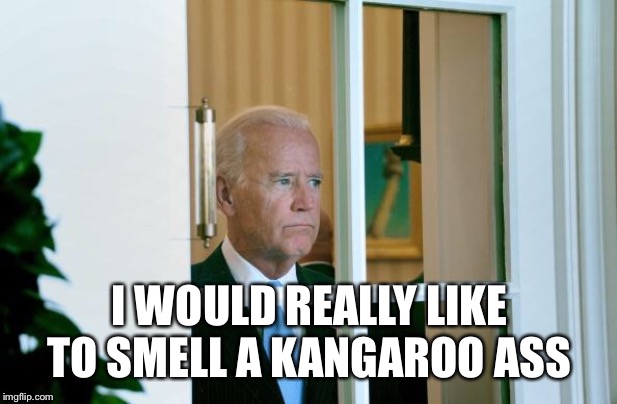 Sad Joe Biden | I WOULD REALLY LIKE TO SMELL A KANGAROO ASS | image tagged in sad joe biden | made w/ Imgflip meme maker