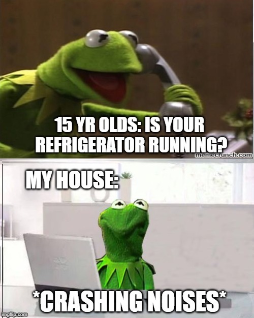 Reality |  MY HOUSE: | image tagged in memes,kermit the frog,kermit,hide the pain kermit,refrigerator,running | made w/ Imgflip meme maker