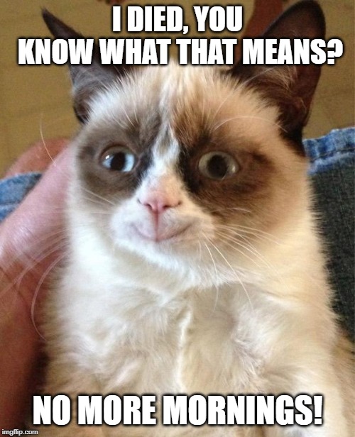 Grumpy Cat Happy Meme | I DIED, YOU KNOW WHAT THAT MEANS? NO MORE MORNINGS! | image tagged in memes,grumpy cat happy,grumpy cat | made w/ Imgflip meme maker