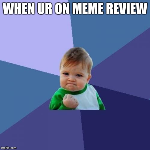 Success Kid Meme | WHEN UR ON MEME REVIEW | image tagged in memes,success kid | made w/ Imgflip meme maker