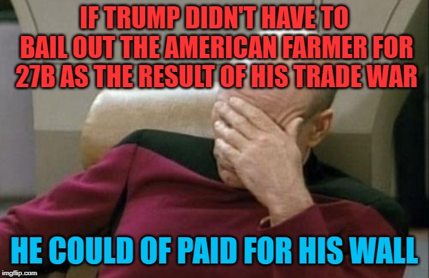 Captain Picard Facepalm Meme | IF TRUMP DIDN'T HAVE TO BAIL OUT THE AMERICAN FARMER FOR 27B AS THE RESULT OF HIS TRADE WAR; HE COULD OF PAID FOR HIS WALL | image tagged in memes,captain picard facepalm | made w/ Imgflip meme maker