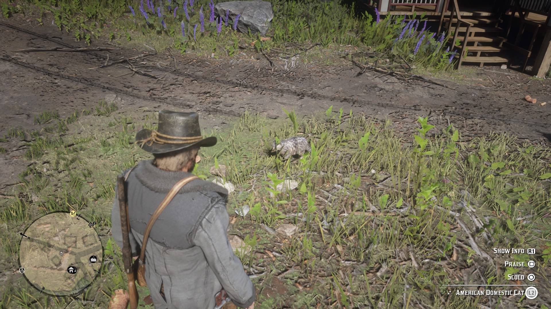 High Quality RDR2 Cat Blank Meme Template