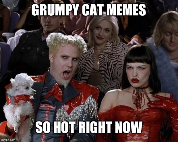 Mugatu So Hot Right Now Meme | GRUMPY CAT MEMES; SO HOT RIGHT NOW | image tagged in memes,mugatu so hot right now | made w/ Imgflip meme maker