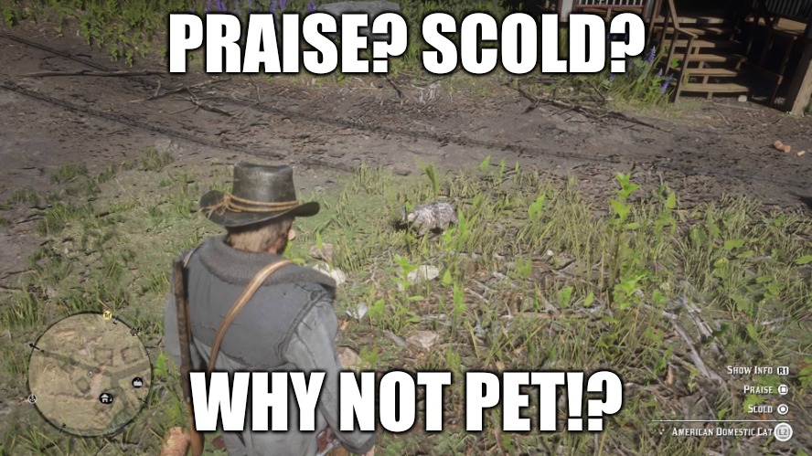RDR2 Cat | PRAISE? SCOLD? WHY NOT PET!? | image tagged in rdr2 cat | made w/ Imgflip meme maker