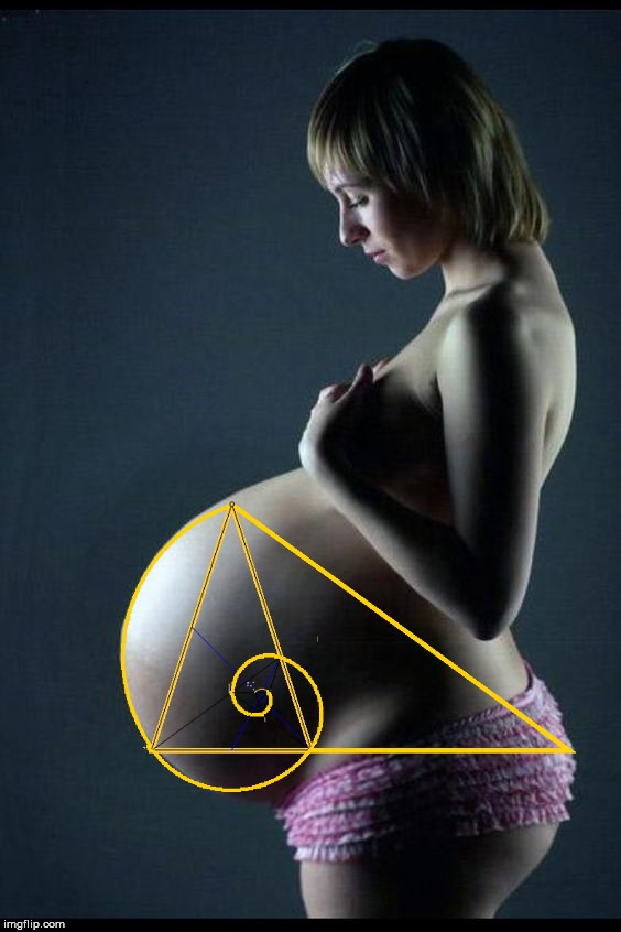 A pregnant woman with the Golden Ratio. | image tagged in the golden ratio,woman,pregnant,reproduction | made w/ Imgflip meme maker