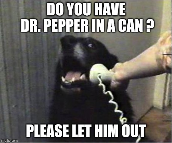 Yes this is dog | DO YOU HAVE DR. PEPPER IN A CAN ? PLEASE LET HIM OUT | image tagged in yes this is dog | made w/ Imgflip meme maker