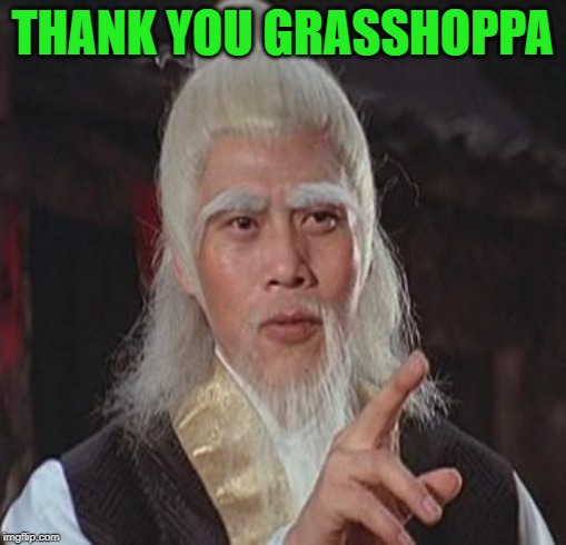 Wise Kung Fu Master | THANK YOU GRASSHOPPA | image tagged in wise kung fu master | made w/ Imgflip meme maker