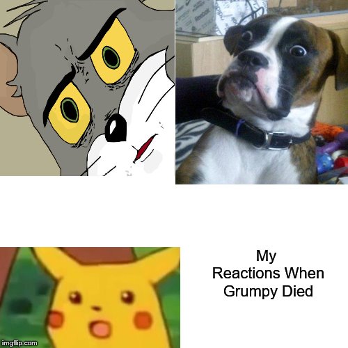 Drake Hotline Bling Meme | My Reactions When Grumpy Died | image tagged in memes,drake hotline bling | made w/ Imgflip meme maker
