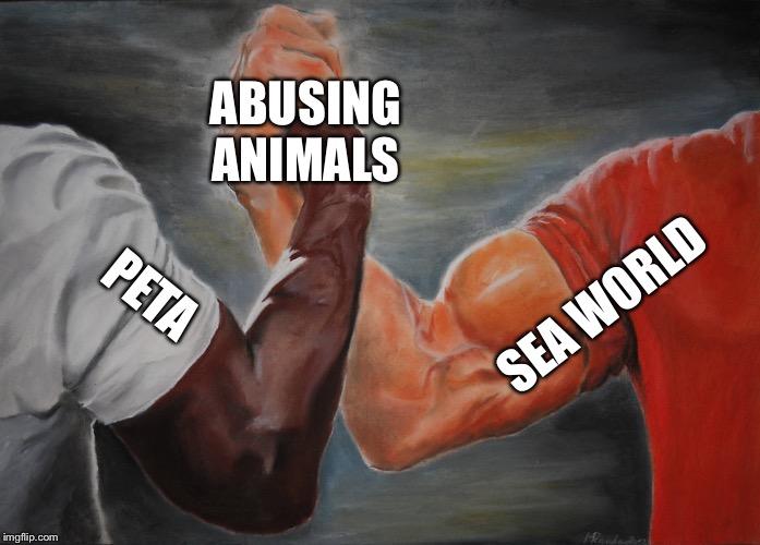 Epic Handshake Meme | ABUSING ANIMALS; SEA WORLD; PETA | image tagged in epic handshake | made w/ Imgflip meme maker