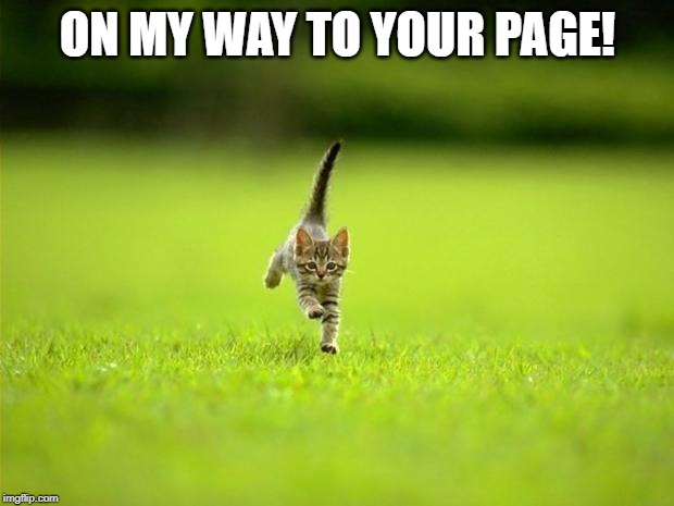 Running Cat | ON MY WAY TO YOUR PAGE! | image tagged in running cat | made w/ Imgflip meme maker