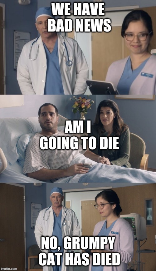 Bad News, you lived. | WE HAVE BAD NEWS; AM I GOING TO DIE; NO, GRUMPY CAT HAS DIED | image tagged in just ok surgeon commercial,grumpy cat | made w/ Imgflip meme maker
