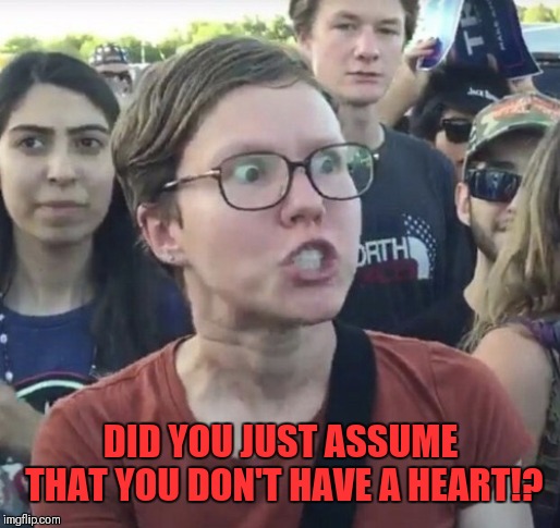 Triggered feminist | DID YOU JUST ASSUME THAT YOU DON'T HAVE A HEART!? | image tagged in triggered feminist | made w/ Imgflip meme maker