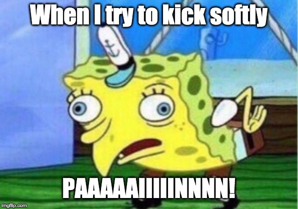 Mocking Spongebob | When I try to kick softly; PAAAAAIIIIINNNN! | image tagged in memes,mocking spongebob | made w/ Imgflip meme maker