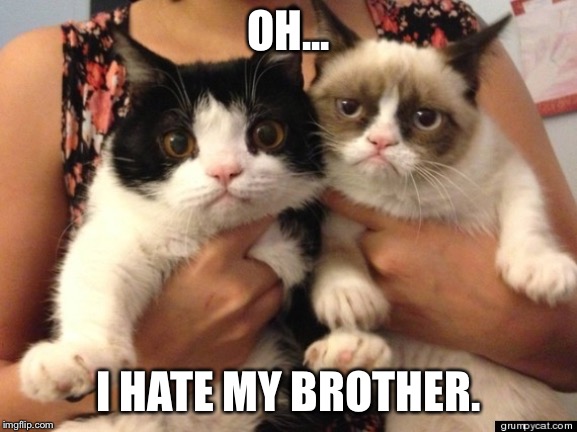 Siblings | OH... I HATE MY BROTHER. | image tagged in grumpy cat,brother | made w/ Imgflip meme maker
