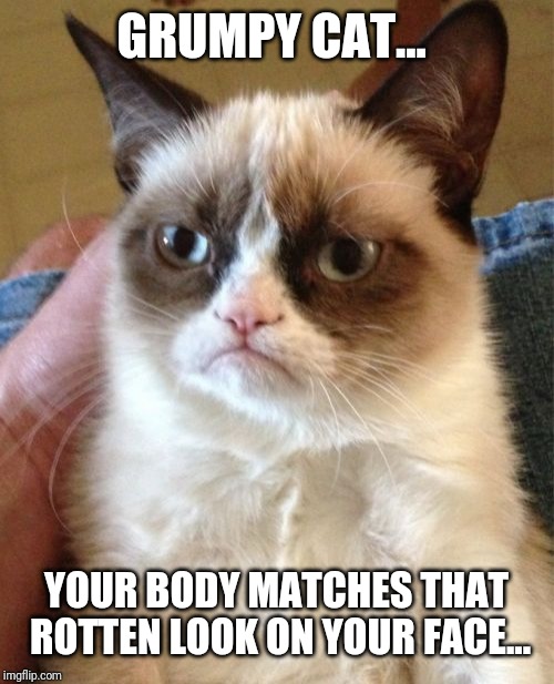 Grumpy Cat Meme | GRUMPY CAT... YOUR BODY MATCHES THAT ROTTEN LOOK ON YOUR FACE... | image tagged in memes,grumpy cat | made w/ Imgflip meme maker