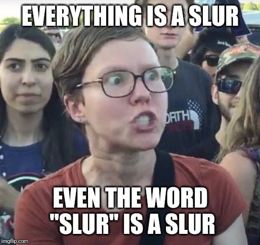 Triggered feminist | EVERYTHING IS A SLUR EVEN THE WORD "SLUR" IS A SLUR | image tagged in triggered feminist | made w/ Imgflip meme maker