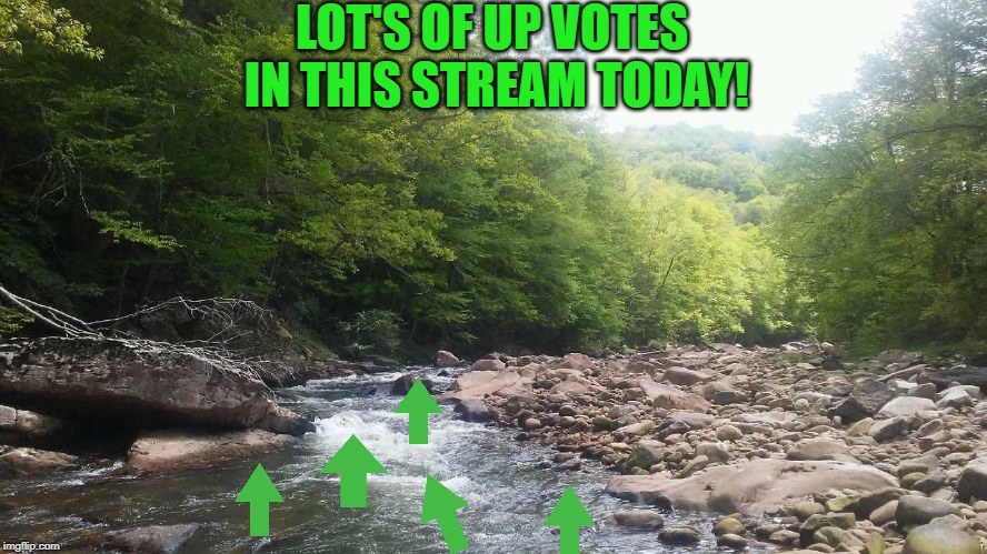 WV Mountain Stream | LOT'S OF UP VOTES IN THIS STREAM TODAY! | image tagged in wv mountain stream | made w/ Imgflip meme maker