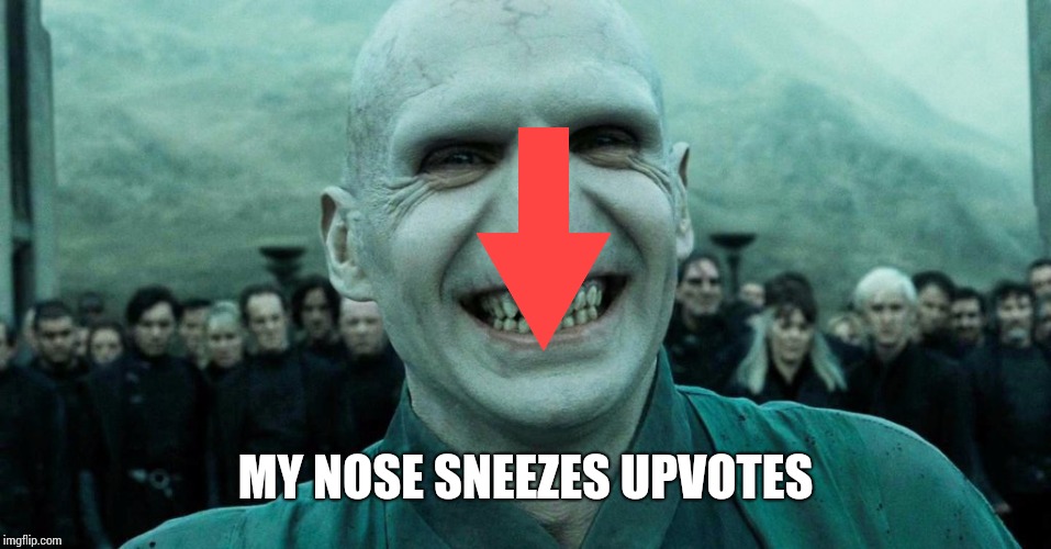 Savage Harry Potter joke | MY NOSE SNEEZES UPVOTES | image tagged in savage harry potter joke | made w/ Imgflip meme maker