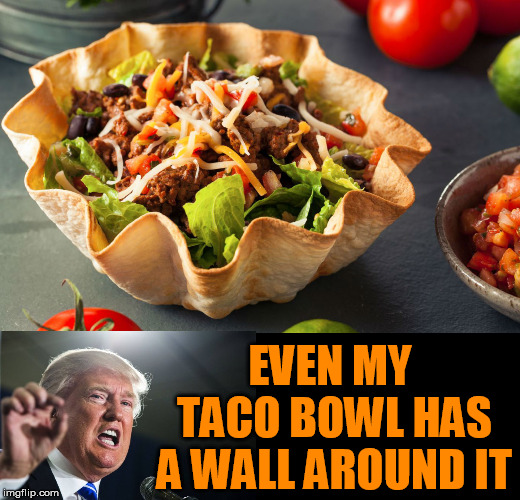 Walls are good and tasty | EVEN MY TACO BOWL HAS A WALL AROUND IT | image tagged in political meme,tacos,delicious,donald trump,build a wall | made w/ Imgflip meme maker