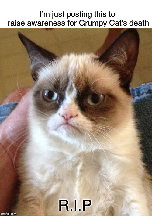 Grumpy Cat Meme | I’m just posting this to raise awareness for Grumpy Cat’s death; R.I.P | image tagged in memes,grumpy cat | made w/ Imgflip meme maker