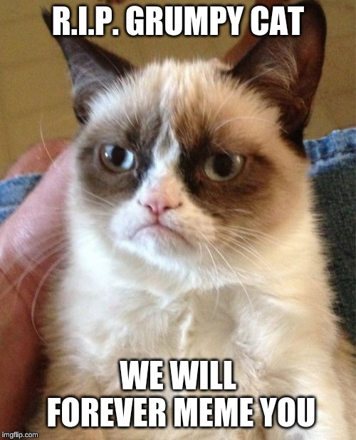 Grumpy Cat | R.I.P. GRUMPY CAT; WE WILL FOREVER MEME YOU | image tagged in memes,grumpy cat | made w/ Imgflip meme maker