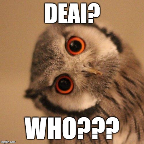 inquisitve owl | DEAI? WHO??? | image tagged in inquisitve owl | made w/ Imgflip meme maker