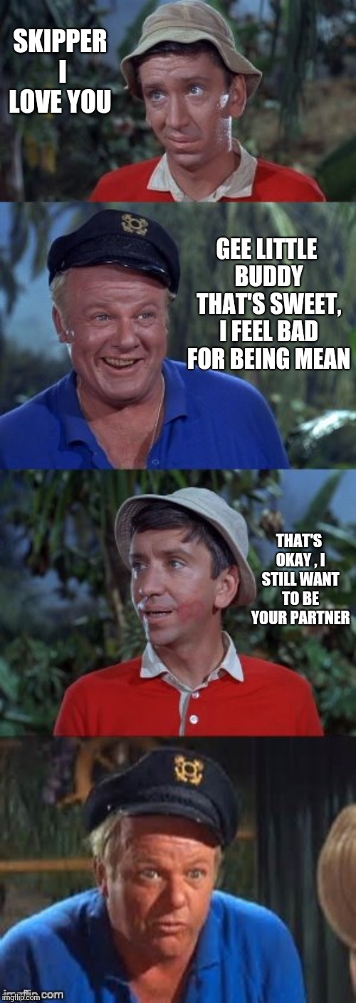 Gilligans's Island | SKIPPER I LOVE YOU; GEE LITTLE BUDDY THAT'S SWEET, I FEEL BAD FOR BEING MEAN; THAT'S OKAY , I STILL WANT TO BE YOUR PARTNER | image tagged in gilligans's island | made w/ Imgflip meme maker