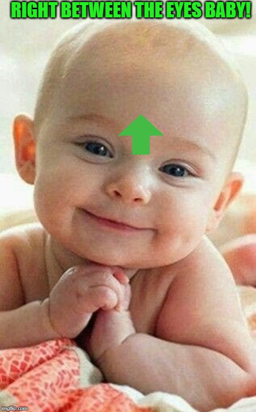 Awwww! | RIGHT BETWEEN THE EYES BABY! | image tagged in awwww | made w/ Imgflip meme maker