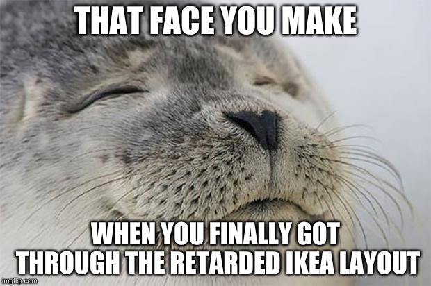 Finally... | THAT FACE YOU MAKE; WHEN YOU FINALLY GOT THROUGH THE RETARDED IKEA LAYOUT | image tagged in memes,satisfied seal | made w/ Imgflip meme maker