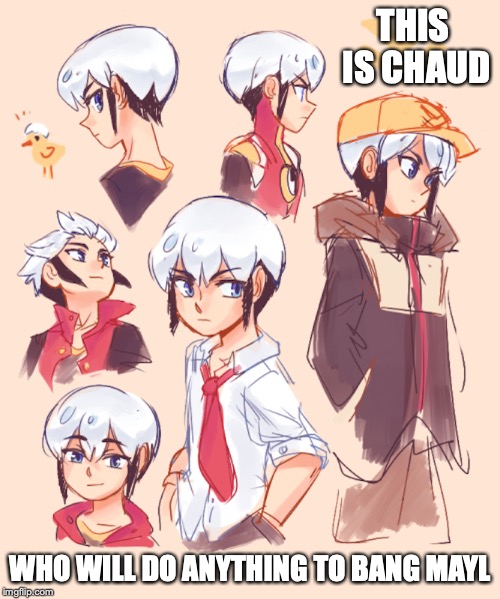 Chaud Eugene | THIS IS CHAUD; WHO WILL DO ANYTHING TO BANG MAYL | image tagged in chaud,megaman nt warrior,megaman,memes | made w/ Imgflip meme maker