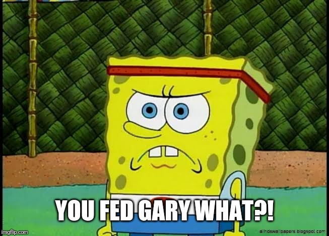 Angry political SpongeBob | YOU FED GARY WHAT?! | image tagged in angry political spongebob | made w/ Imgflip meme maker
