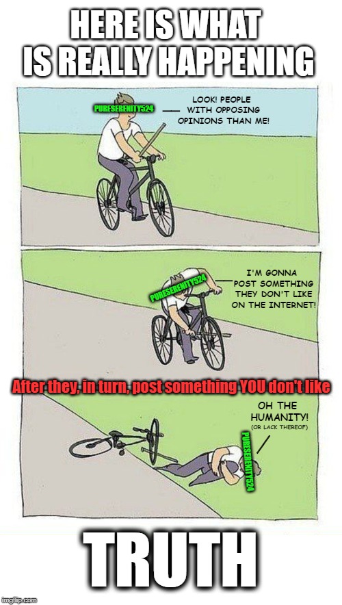 Bike Fall Meme | I'M GONNA POST SOMETHING THEY DON'T LIKE ON THE INTERNET! LOOK! PEOPLE WITH OPPOSING OPINIONS THAN ME! PURESERENITY524 PURESERENITY524 PURES | image tagged in bike fall | made w/ Imgflip meme maker