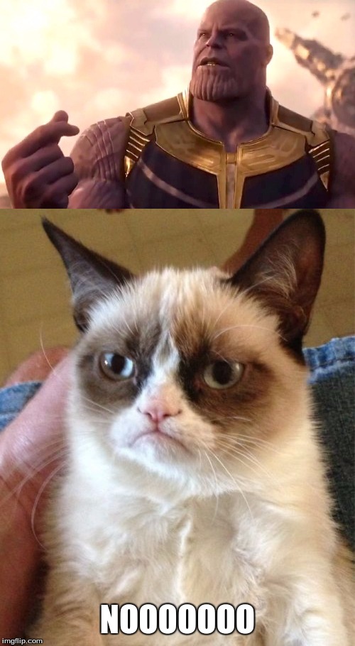 NOOOOOOO | image tagged in memes,grumpy cat,thanos snap | made w/ Imgflip meme maker